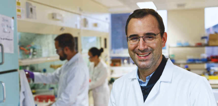 Gonçalo Bernardes lab.