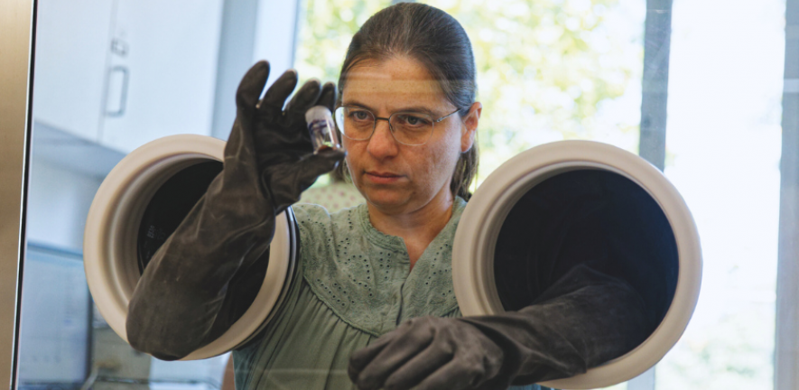 Svetlana Menkin at the fume cupboard.